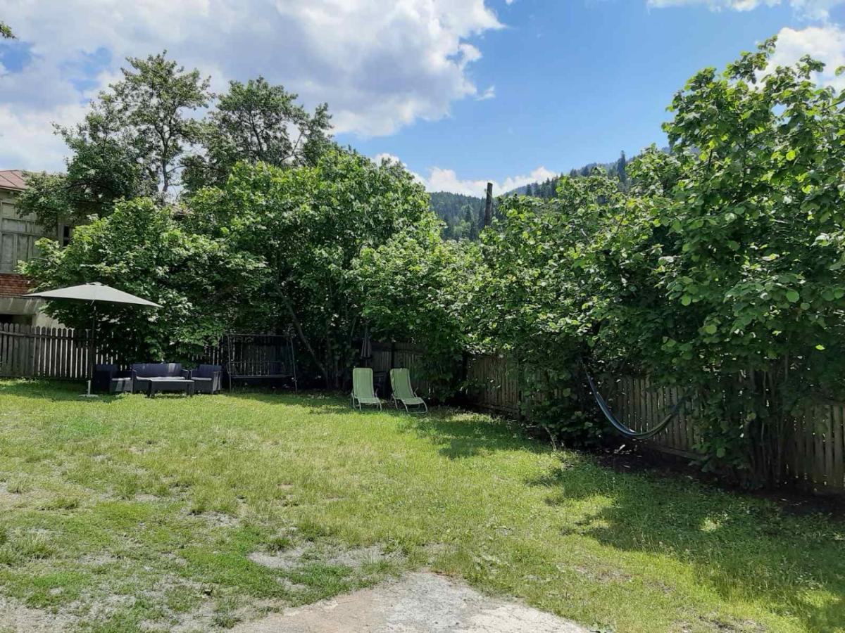 Green Villa Tsaghveri Kültér fotó